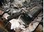 Picture of Mercedes 560SEL 86-91 engine